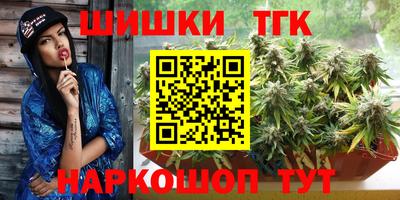 винт Партизанск