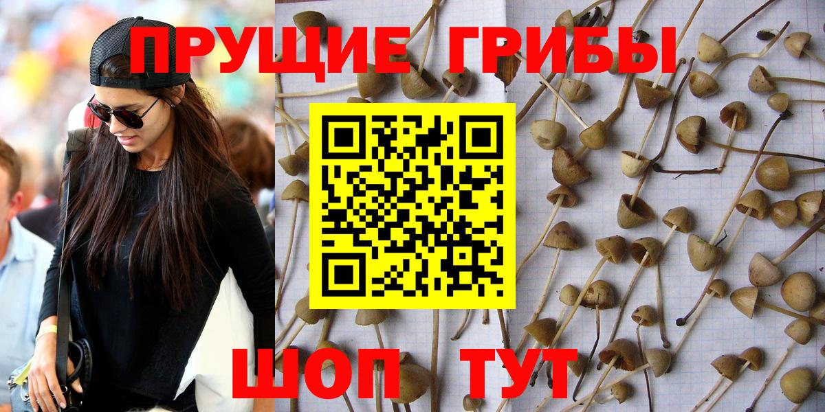 Галлюциногенные грибы мицелий Семилуки