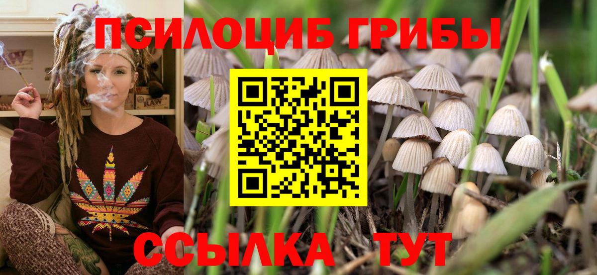 купить наркоту  Псилоцибиновые грибы прущие грибы  Вход с VPN  Семилуки 